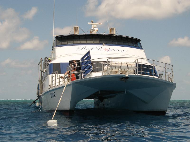 Reef Experience, Great Barrier Reef