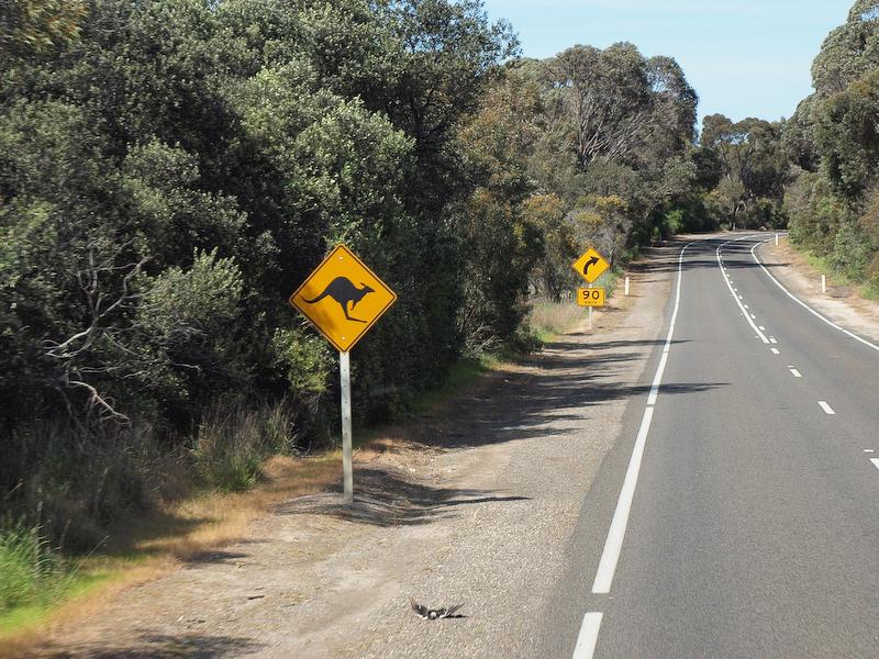 'Roo Crossing, Kangaroo Island