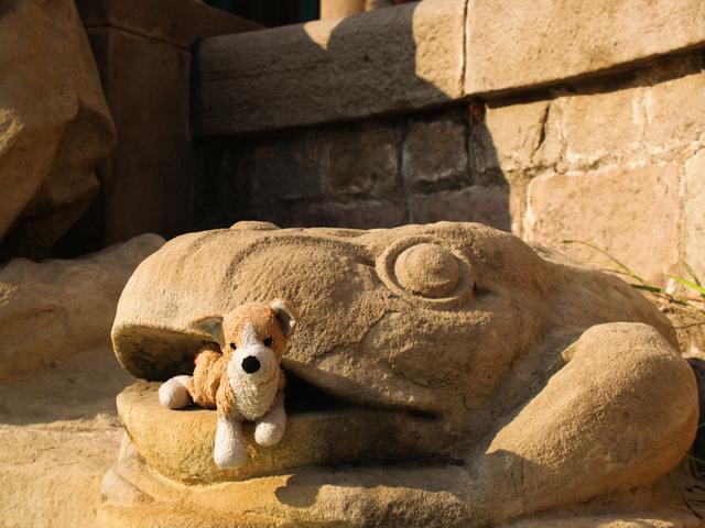 Puppy meets Lizard, Hospital de Sant Pau