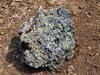 Pumice with Olivine, Manuka State Park, Big Island
