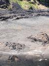 Kilauea Iki Crater, Hawaii Volcanoes N.P., Big Island