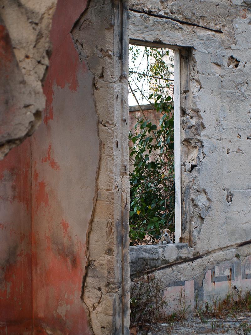 Cardiff Examines the Haunted House, Harbour Island