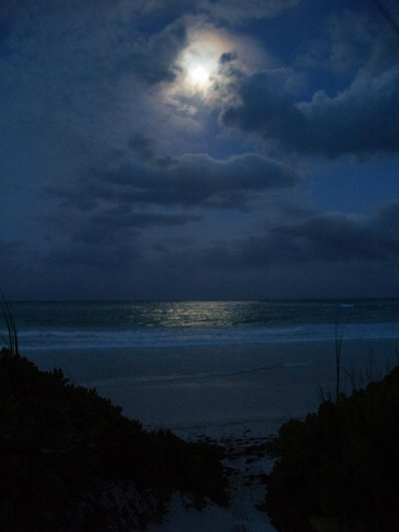 Sea Under Moonlight