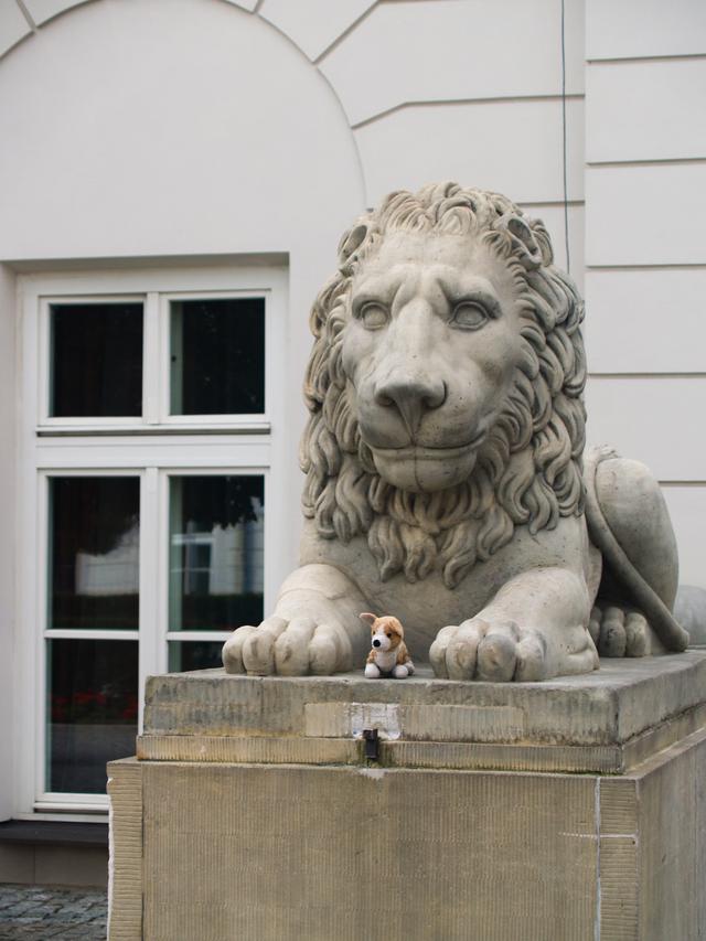 Cardiff and the Lion, Warsaw