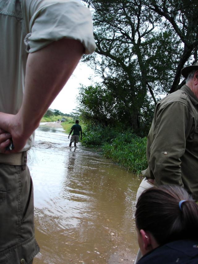 Exaud Braves the Flood, Serengeti