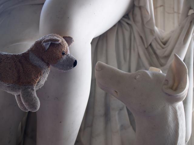 Cardiff and Dog Statue, St. Petersburg