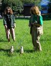 Meerkats at the Leningrad Zoo, St. Petersburg