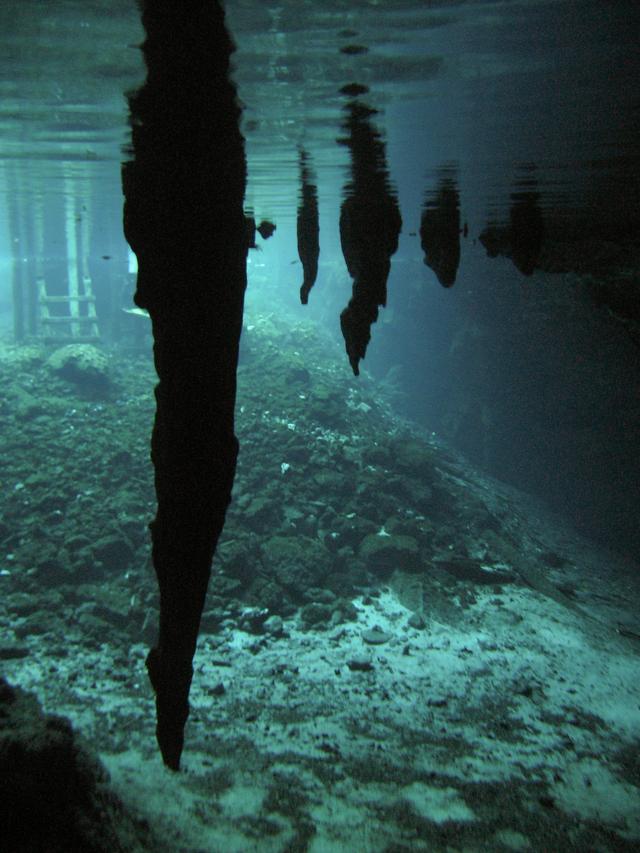 Underwater Stalactites in the Gran Cenote, Tulum