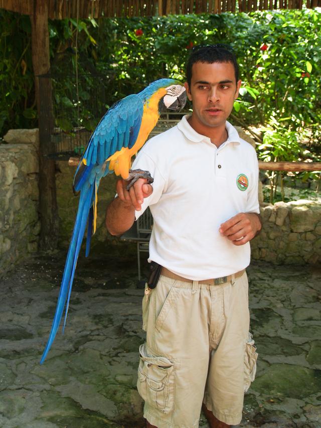 Guide and Macaw, Crococun Zoo