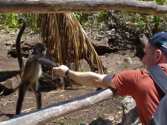 Jer feeding a Spider Monkey, Crococun Zoo