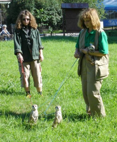 walkingthemeerkatsattheleningradzoo.jpg
