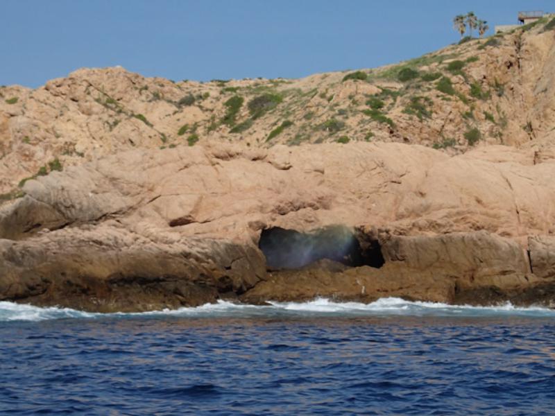 Blowhole