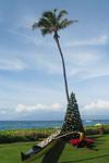 Christmas in Hawaii