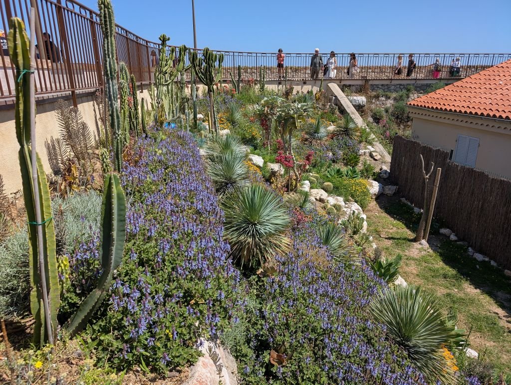 gardenalongtherampartsantibes.jpg