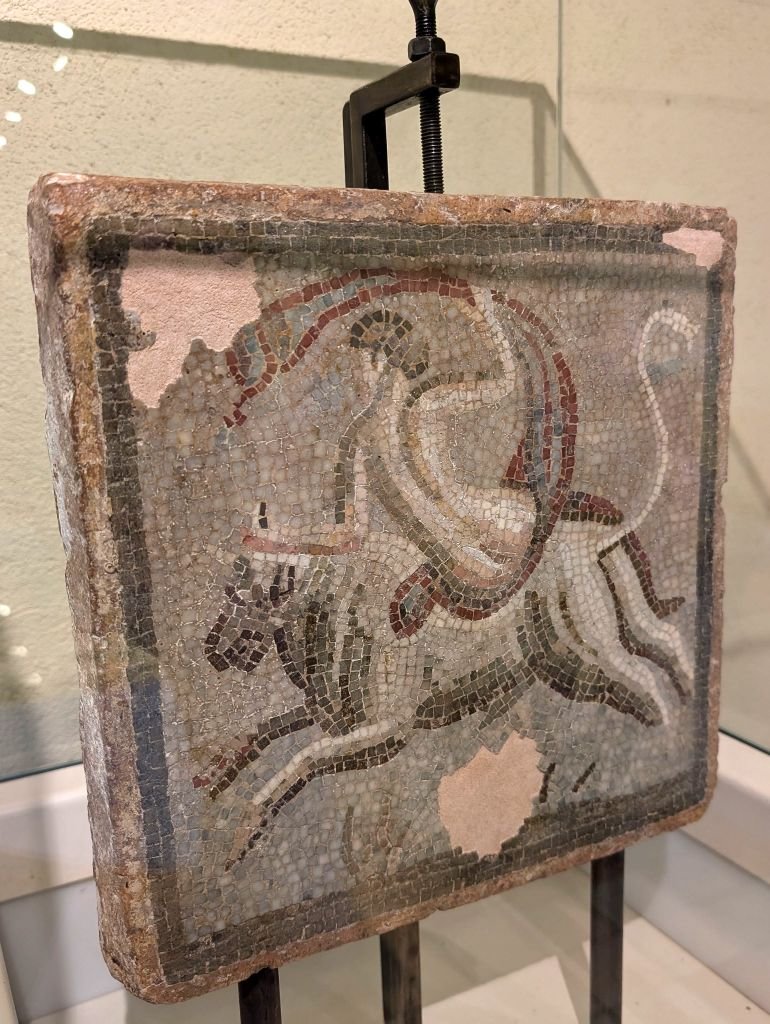 mosaicinthefortroyalsaintemarguerite.jpg