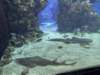 oceanographicmuseummonaco_small.jpg